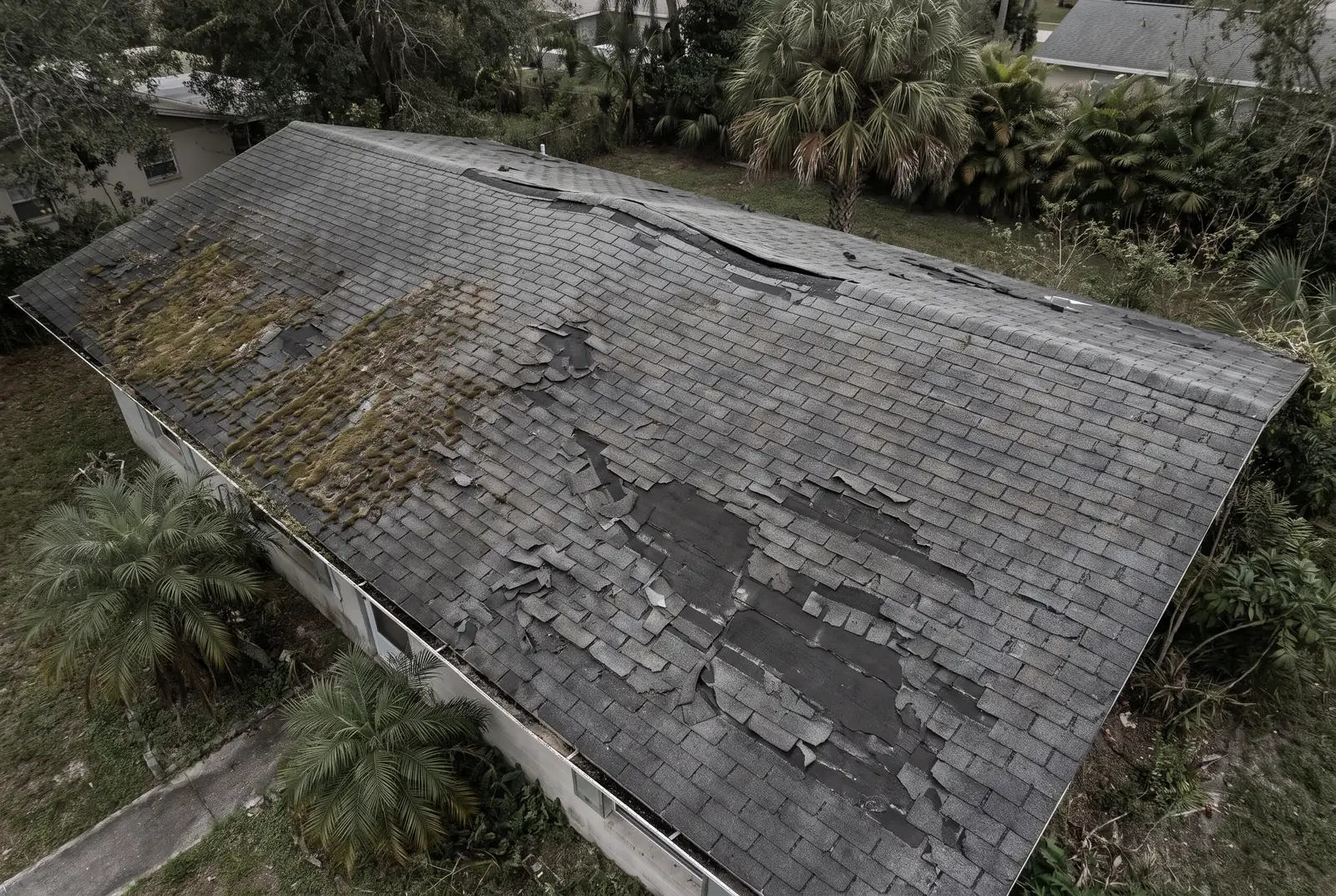 A worn shingle roof with heavy granule loss and moss
